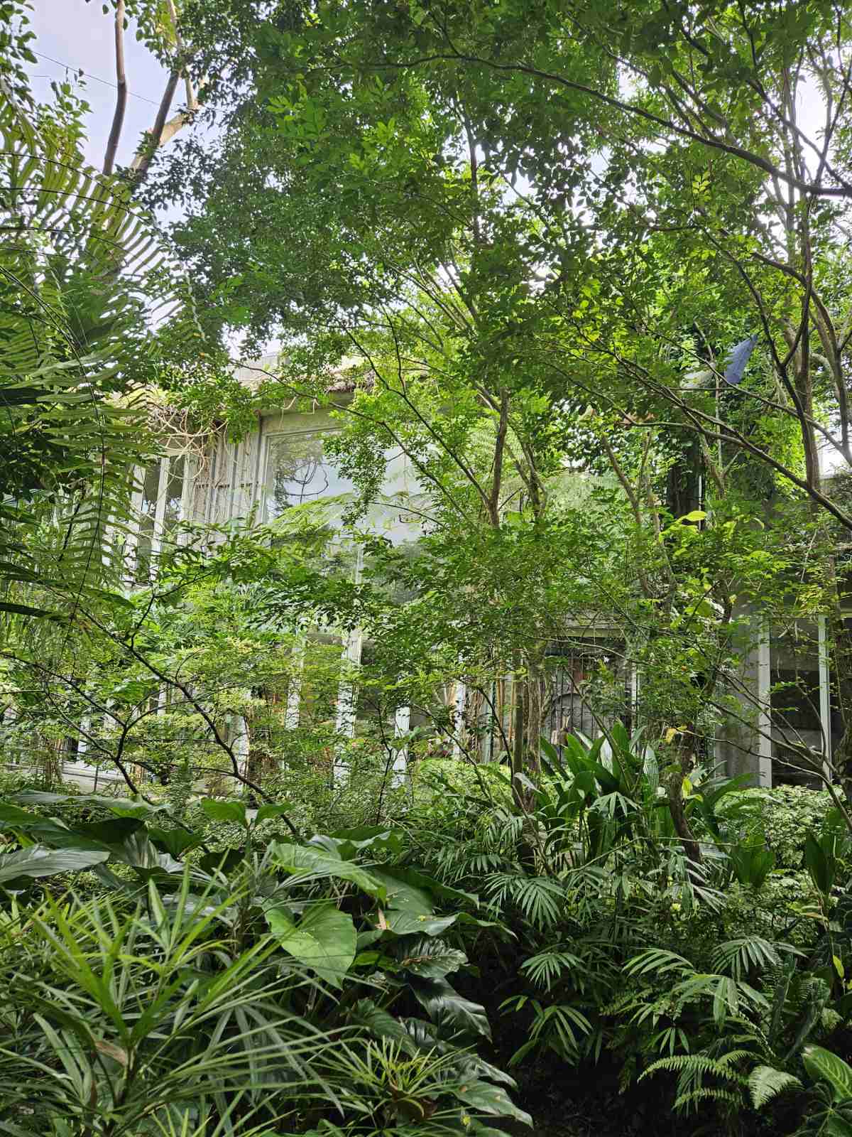 The house amid the greens.